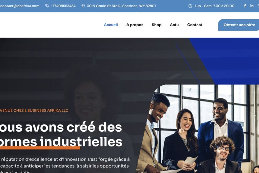 E-Business Afrika